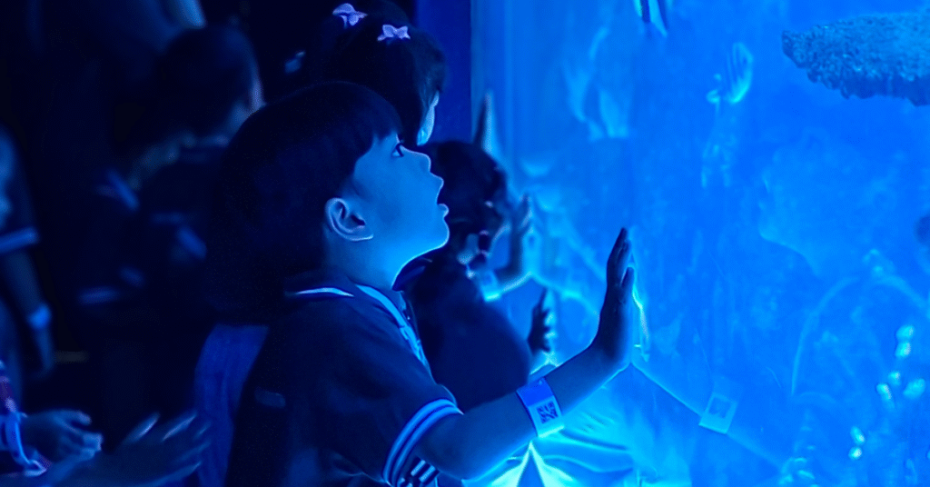 pengalaman anak tk melihat dunia bawah laut pada kegiatan Field Trip TK Presiden